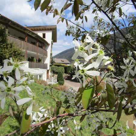 Natur Pur Hotel Unterpichl Ultimo Esterno foto