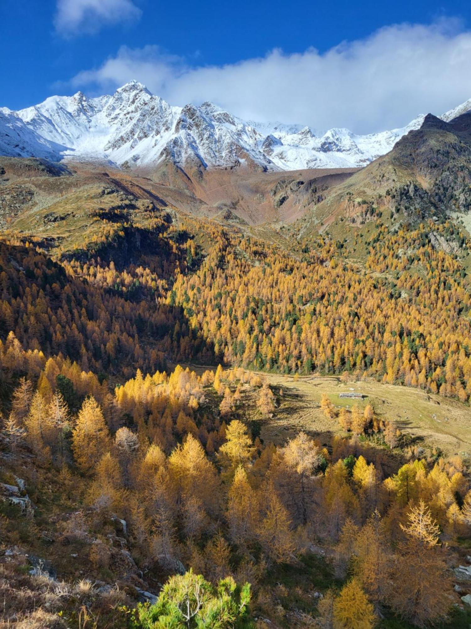 Natur Pur Hotel Unterpichl Ultimo Esterno foto