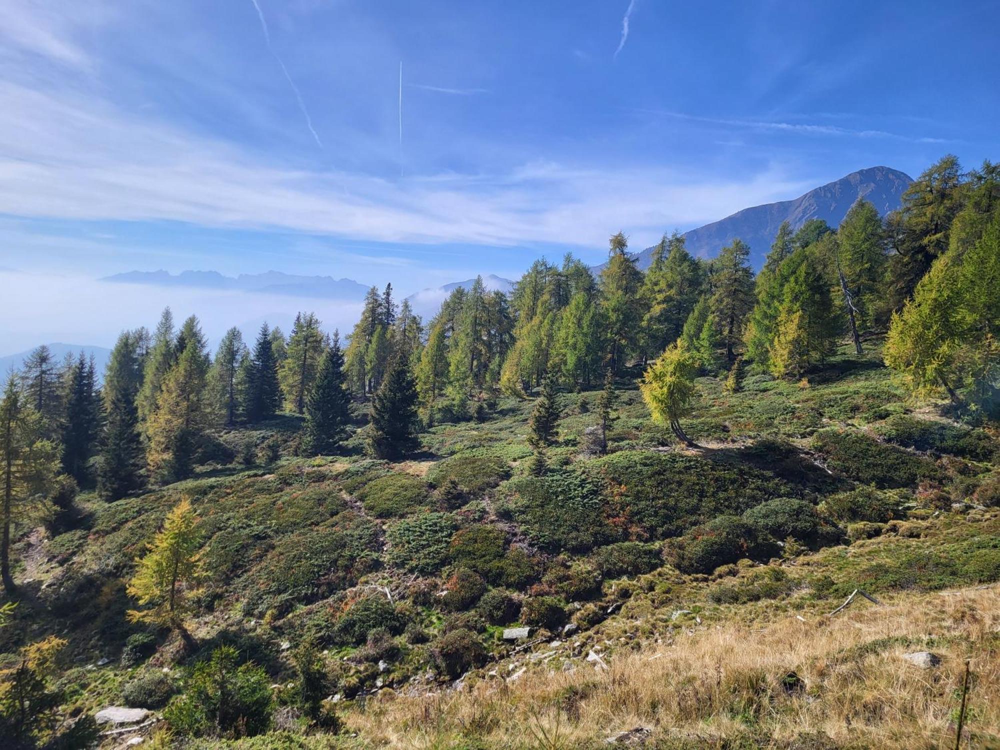 Natur Pur Hotel Unterpichl Ultimo Esterno foto